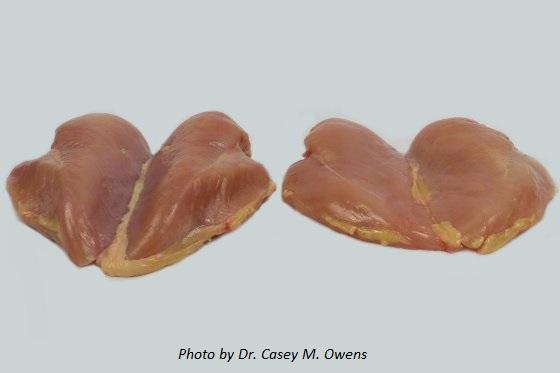 Reduce Woody Breast and White Striping in Poultry Meat with Dietary Approach - Image 1