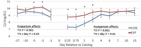 A new trial at Cornell University shows low subclinical hypocalcemia levels in dairy cows supplemented with a calcium binder - Image 1