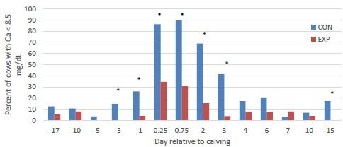 A new trial at Cornell University shows low subclinical hypocalcemia levels in dairy cows supplemented with a calcium binder - Image 2