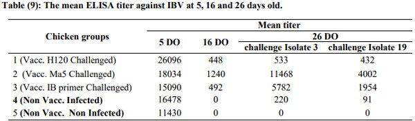 Incidence of Avian Nephritis and Infectious Bronchitis Viruses in Broilers in Egypt - Image 20