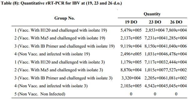 Incidence of Avian Nephritis and Infectious Bronchitis Viruses in Broilers in Egypt - Image 19