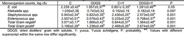 Effects of Dietary Supplementation of Dried Distillers Grain with Solubles (DDGS) and Yucca (Yucca schidigera) on Broiler Performance, Carcass Traits, Intestinal Viscosity and Marketing - Image 4