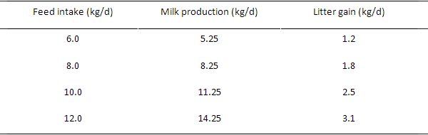 Lactating sow feeds: Nutritional strategies for improving feed intake, milk production and lifetime productivity - Image 1