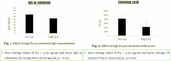 High progesterone levels at farrowing impair colostrum IgG concentration and colostrum yield in sow - Image 1