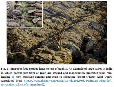 The dry chain: Reducing postharvest losses and improving food safety in humid climates - Image 1