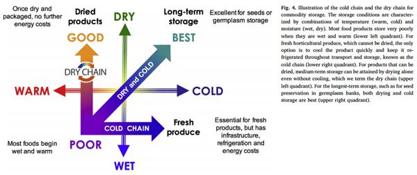The dry chain: Reducing postharvest losses and improving food safety in humid climates - Image 4