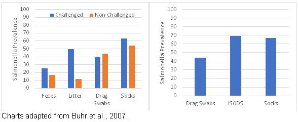 Salmonella prevalence and diversity are impacted by sampling methodology - Image 1