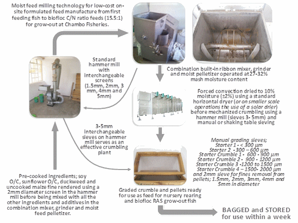 Optimizing tilapia biofloc technology systems, part 2 - Image 3