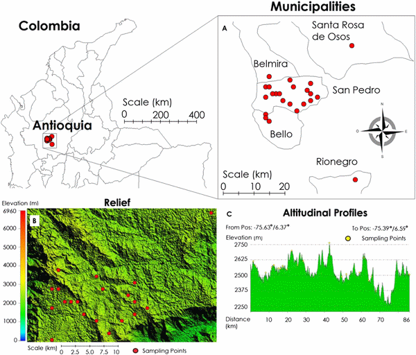 Survey of gastrointestinal parasites, liver flukes and lungworm in feces from dairy cattle in the high tropics of Antioquia, Colombia - Image 2