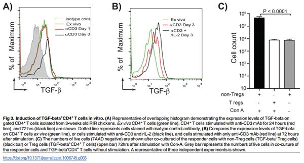 Association of Marek’s Disease induced immunosuppression with activation of a novel regulatory T cells in chickens - Image 3