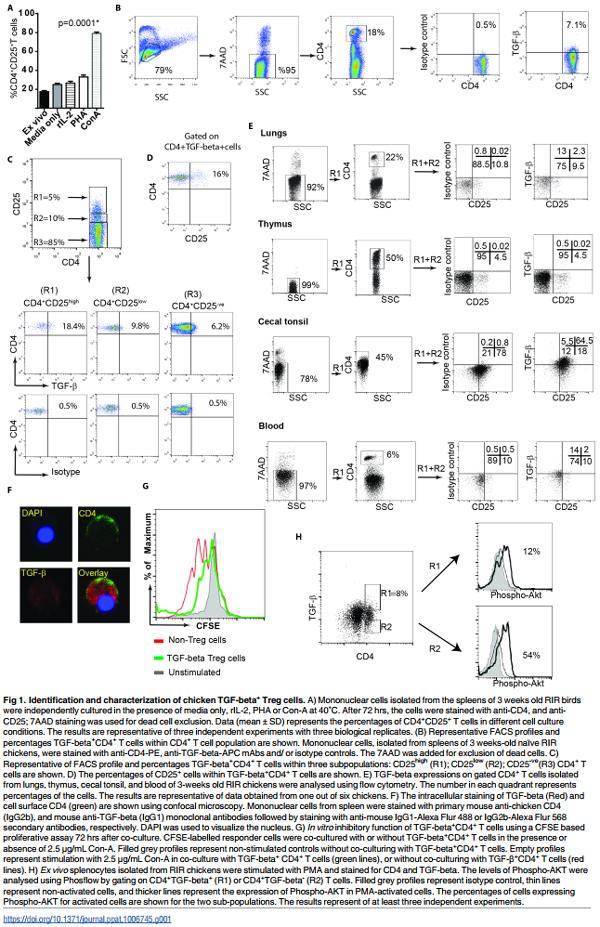 Association of Marek’s Disease induced immunosuppression with activation of a novel regulatory T cells in chickens - Image 1