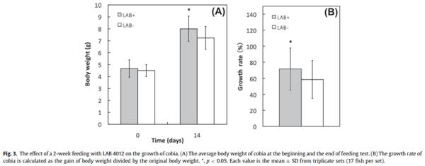 Diet supplementation of Pediococcus pentosaceus in cobia (Rachycentron canadum) enhances growth rate, respiratory burst and resistance against photobacteriosis - Image 3