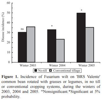 Fusarium wilt incidence and common bean yield according to the preceding crop and the soil tillage system - Image 4