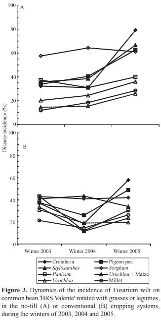Fusarium wilt incidence and common bean yield according to the preceding crop and the soil tillage system - Image 6