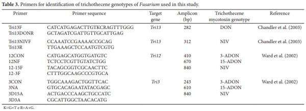 Use of the polymerase chain reaction for detection of Fusarium graminearum in bulgur wheat - Image 4