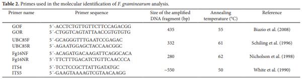 Use of the polymerase chain reaction for detection of Fusarium graminearum in bulgur wheat - Image 3