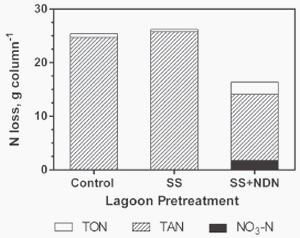 Water Quality and Nitrogen Mass Loss from Anaerobic Lagoon Columns Receiving Pretreated Influent - Image 9