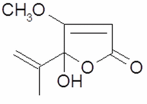 Penicillic Acid - Image 2