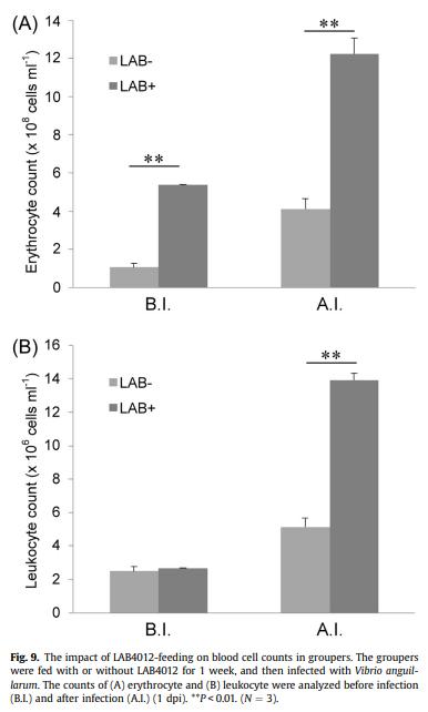 Dietary supplementation of Pediococcus pentosaceus enhances innate immunity, physiological health and resistance to Vibrio anguillarum in orange-spotted grouper (Epinephelus coioides) - Image 13