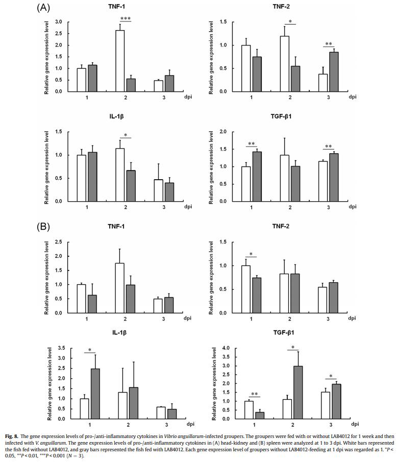 Dietary supplementation of Pediococcus pentosaceus enhances innate immunity, physiological health and resistance to Vibrio anguillarum in orange-spotted grouper (Epinephelus coioides) - Image 11