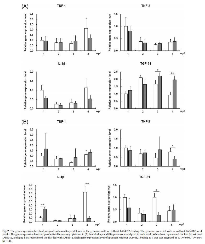 Dietary supplementation of Pediococcus pentosaceus enhances innate immunity, physiological health and resistance to Vibrio anguillarum in orange-spotted grouper (Epinephelus coioides) - Image 9