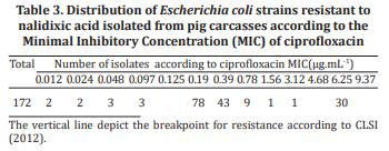 Genotyping and antimicrobial resistance in Escherichia coli from pig carcasses - Image 3