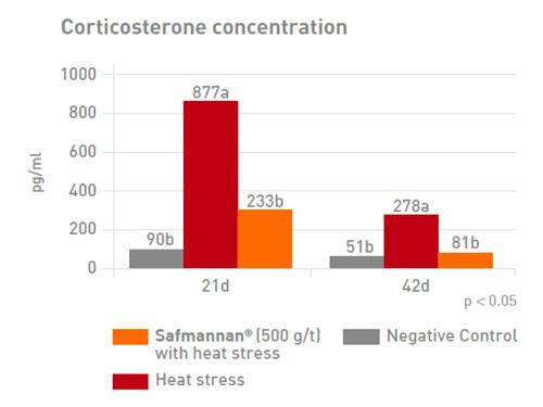 Heat stress: underlying mechanism and mitigation by yeast paraprobiotics - Image 7