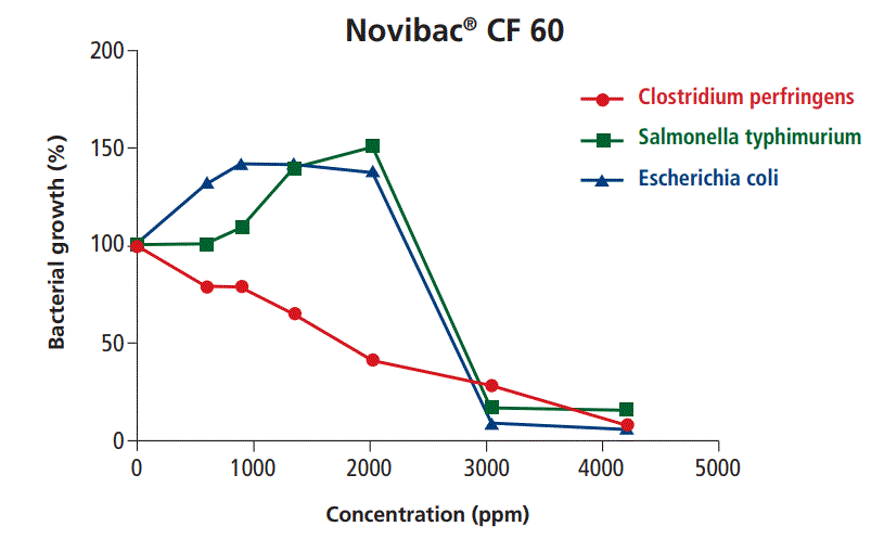 In vitro killing activity of Innovad’s Novibac® CF 60 against Clostridium perfringens, Salmonella typhimurium and Escherichia coli - Image 1