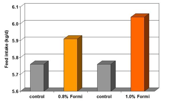Effects of Formi (potassium diformate) on body condition and performance in sows - Image 1