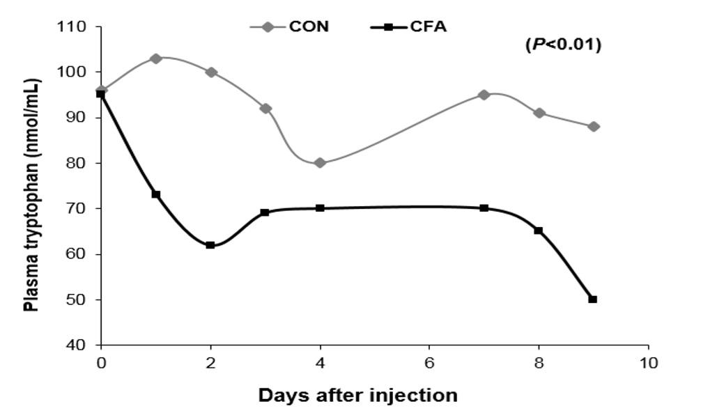 Functional amino acids to improve the immunity of pigs - Image 4