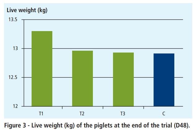 Weaning piglets without antibiotics - Image 5