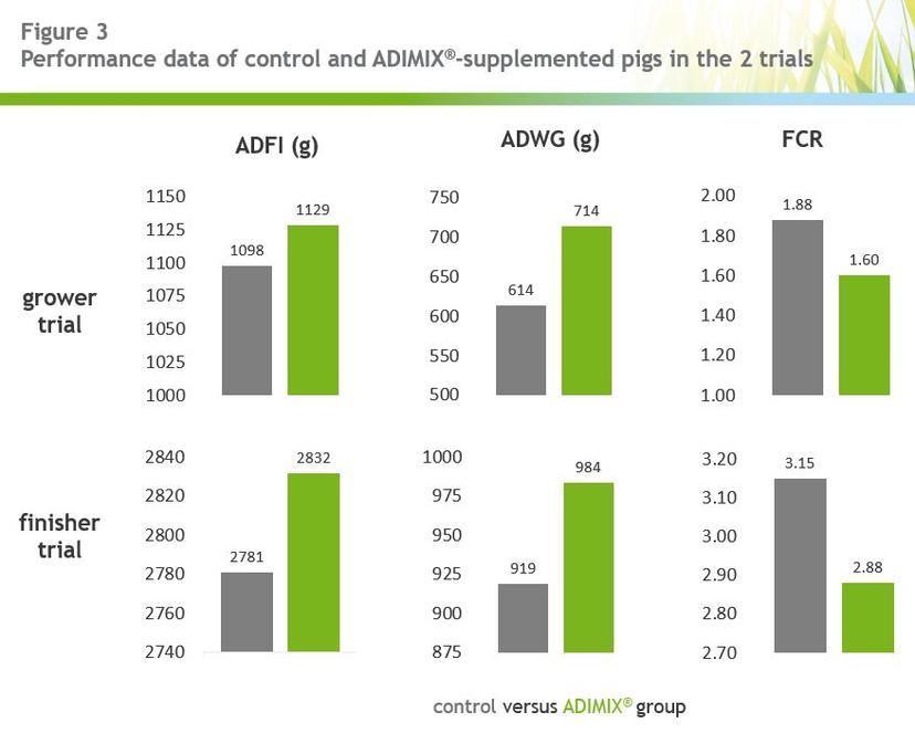 Precision delivery coated butyrate: tackling Salmonella in pigs while increasing performance - Image 3