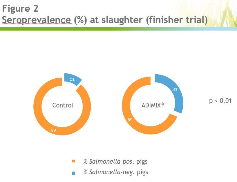 Precision delivery coated butyrate: tackling Salmonella in pigs while increasing performance - Image 2