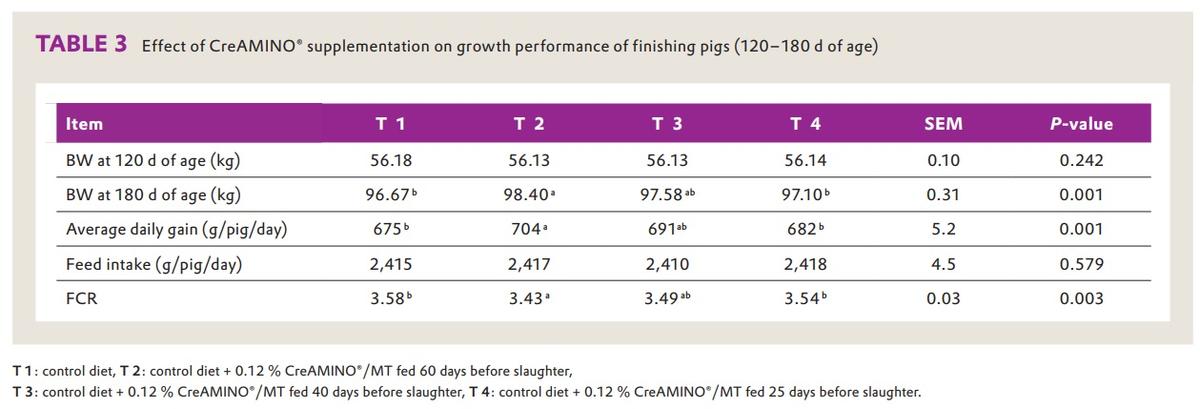 CreAMINO® improves growth performance and carcass quality of finisher pigs - Image 3
