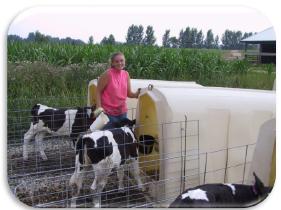 Animal Welfare and Dairy Management - Image 13