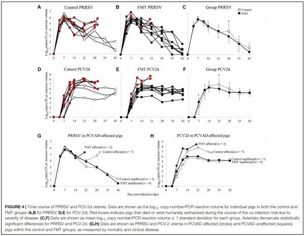 Fecal Microbiota Transplantation Is Associated With Reduced Morbidity and Mortality in Porcine Circovirus Associated Disease - Image 6