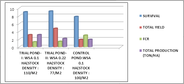Effect of Phytobiotic Feed Additive “WHITENIL” on Production & Health Performance of Vannamei Shrimp in High Stocking Grow Out Ponds - Image 3