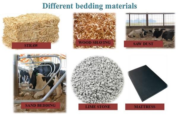 Advantages of bedding material for dairy animals - Image 1