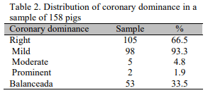 Evaluation of coronary dominance in pigs; a comparative study with findings in human hearts - Image 2