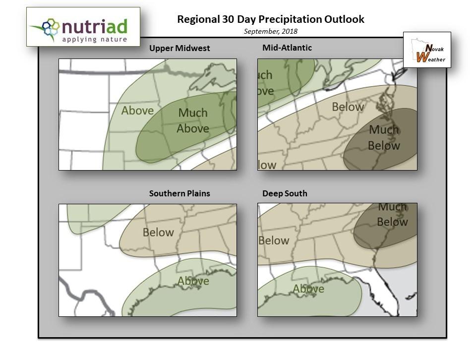  September Nutriad Weather and Mycotoxins report. - Image 3