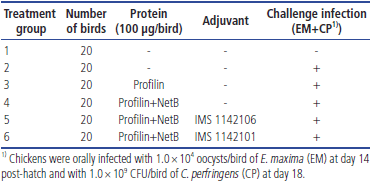 In ovo vaccination using Eimeria profilin and Clostridium perfringens NetB proteins in Montanide IMS adjuvant increases protective immunity against experimentally-induced necrotic enteritis - Image 1
