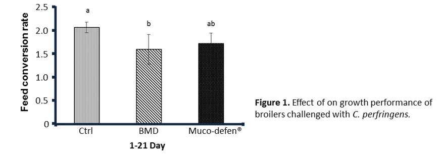 Effects of Muco-defen® on Clostridium perfringens-induced necrotic enteritis in broilers - Image 1