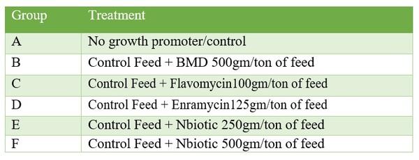 New Age Phytogenic solution to Antibiotic as growth promoter: Nbiotic - Image 2