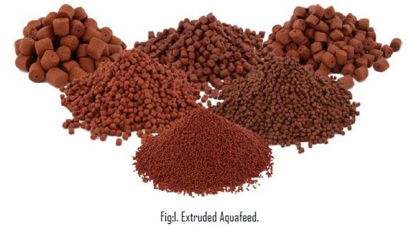 The impact of Post-Grinding process on Extruded Feed - Image 1