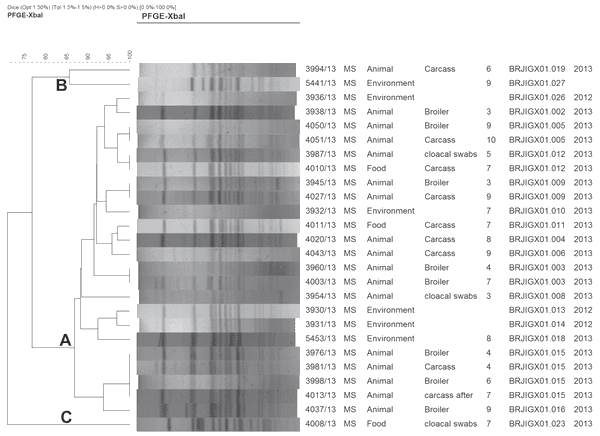 Serotyping and Genotyping of Salmonella Strains Isolated from Broilers, Chicken Carcasses Before and After Chilling, and Frozen Chicken Breasts Produced in the States of Mato Grosso do Sul and Santa Catarina, Brazil. - Image 2