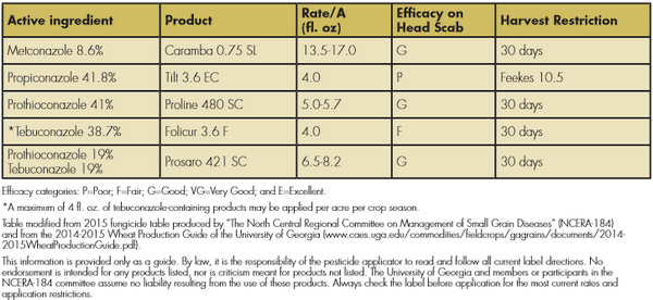 Identification and Control of Fusarium Head Blight (Scab) of Wheat in Georgia - Image 9