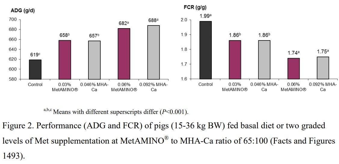 Selecting the Correct Methionine Source – A Key Index for Successful Pig Production - Image 2