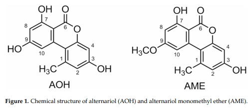 The Alternaria alternata Mycotoxin Alternariol Suppresses Lipopolysaccharide-Induced Inflammation - Image 1