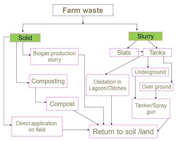 Advanced Methods of Dairy Farm Waste Disposal - Image 2
