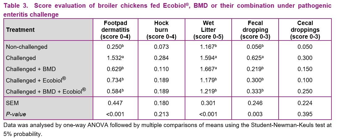Bacillus amyloliquefaciens CECT 5940 (Ecobiol®) alone or in combination with antibiotic growth promoters improve performance in broilers under enteric pathogen challenge - Image 3